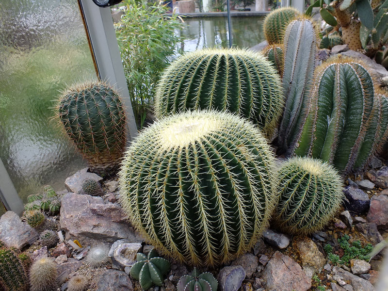 Bild 031.jpg